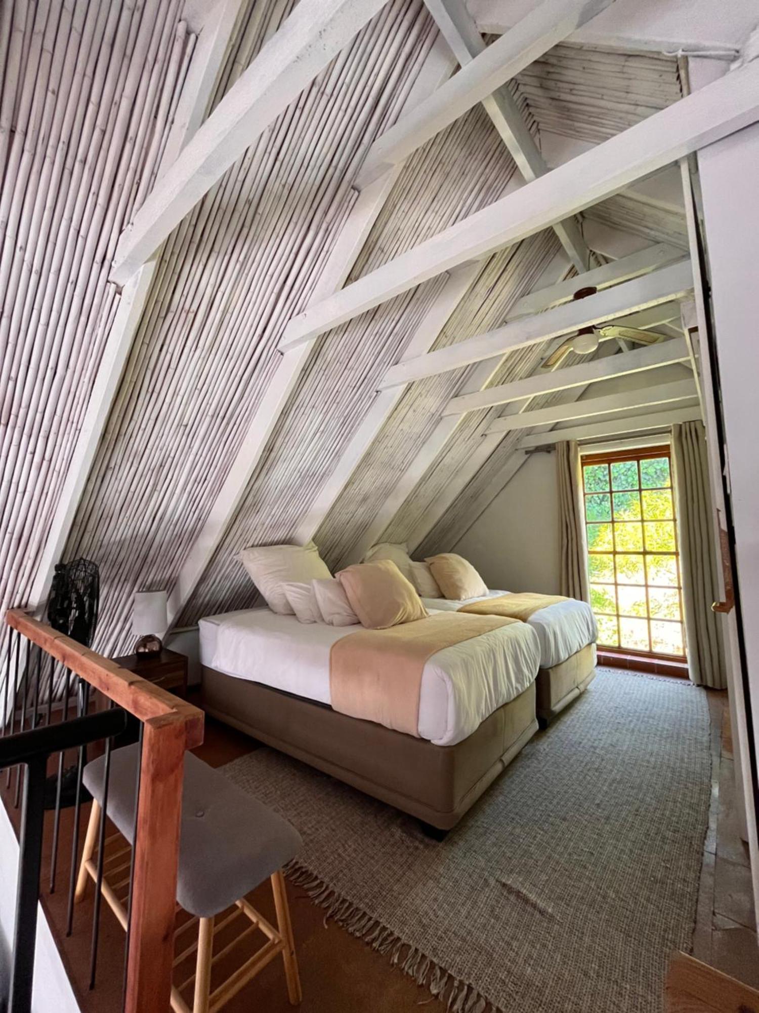 הוילה קייפטאון Cozy Camps Bay House With Mountain And Sea View מראה חיצוני תמונה